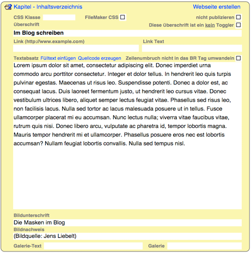 Eingabefelder in der Maske Texte