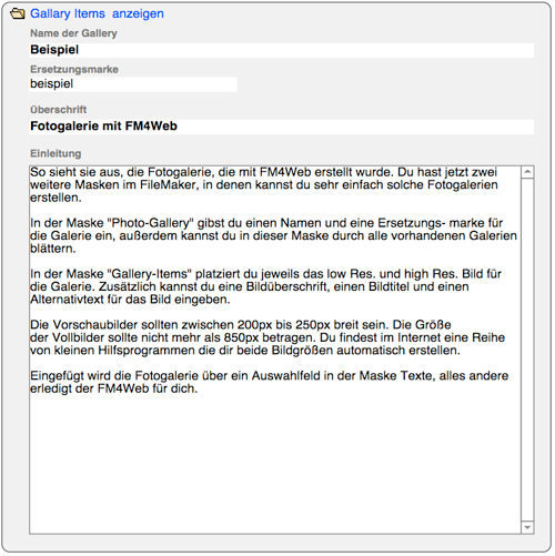 Eingabefelder Fotogalerie FM4Web