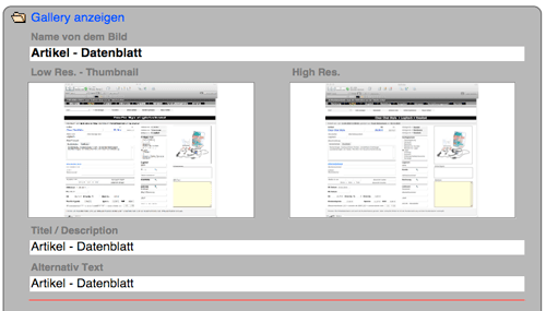 Gallery Items in FM4Web