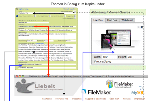 Ausschnitt aus dem Schaubild